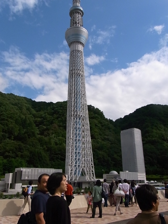 trip11