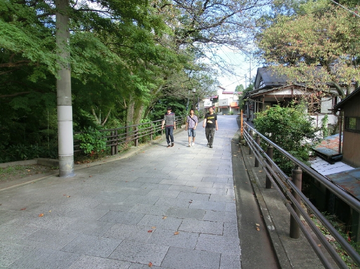 trip10