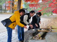 毛越寺
