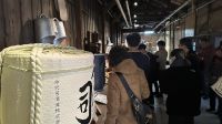 酒蔵「今代司酒造」を見学しました。