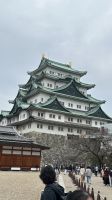 名古屋城観光