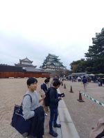 名古屋城観光
