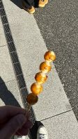 倉敷
